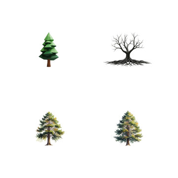 Four diverse tree illustrations evergreen bare and detailed forest trees isolated on transparent background
