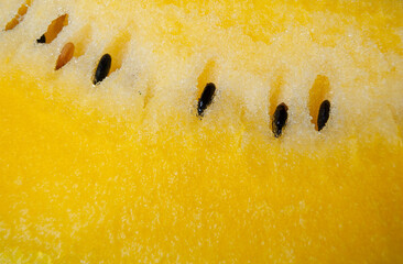 Fresh yellow watermelon slice with detailed juicy pulp, highlighting a unique variety of this refreshing fruit. © Amina