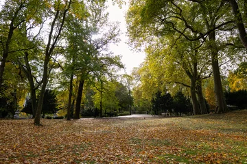 Beautiful Autumn Landscape at the Dusseldorf Hofgarten with Colorful Leaves © James