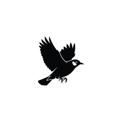 Fototapeta premium Black bird flying vector silhouette icon. Stylized songbird mascot with spread wings and white cheek patch. Minimalist wildlife nature illustration isolated on white background.