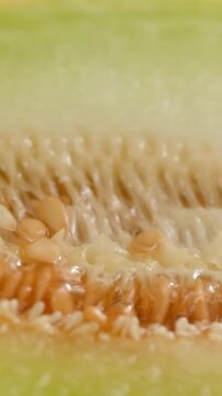 Melon close up, man cutting Watercolor of a whole melon and slice, summer juicy fruit