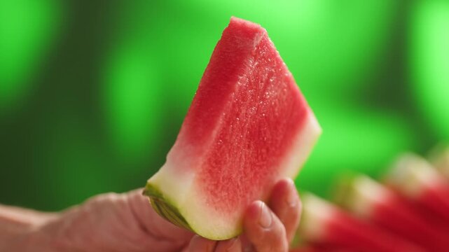 Man cutting watermelon - cut piece with knife. Young watermelons Citrullus lanatus. Topic - melons and gourds, farmer cultivation of watermelons