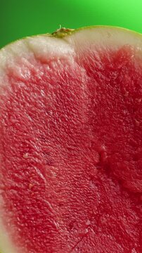 Man cutting watermelon - cut piece with knife. Young watermelons Citrullus lanatus. Topic - melons and gourds, farmer cultivation of watermelons