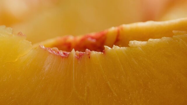 Fresh ripe apricots, peach and nectarine isolated on a white background. Colorful summer stone fruits with natural texture, healthy organic food, vegan nutrition, fresh harvest, juicy seasonal produce