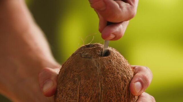 Coconut, Fresh whole and halved coconut isolated on a white background. Tropical exotic fruit with natural brown shell and white flesh. Healthy organic food, vegan ingredient, summer, close-up.