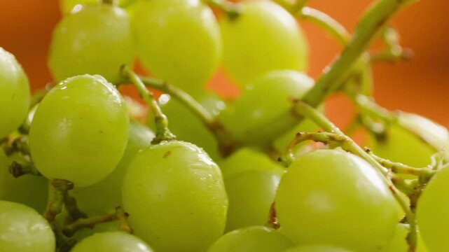 Red grape, spanish supermarket food, Close-up green grape cluster on vine in the vineyard. Stock Photo