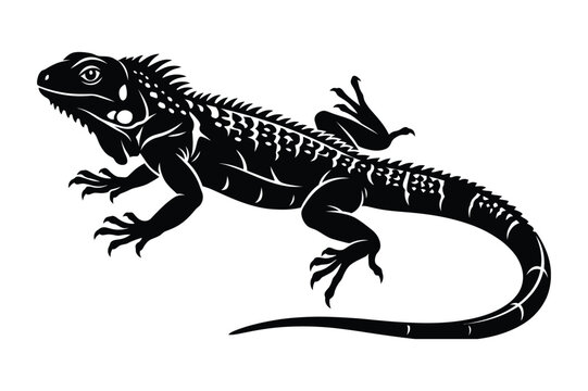Detailed green iguana reptile silhouette standing on ground vector illustration