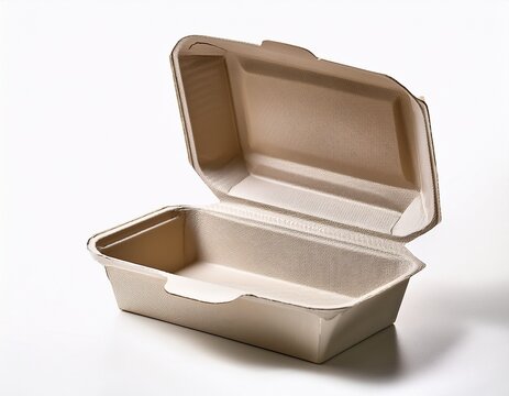 open empty biodegradable pulp food container on white background