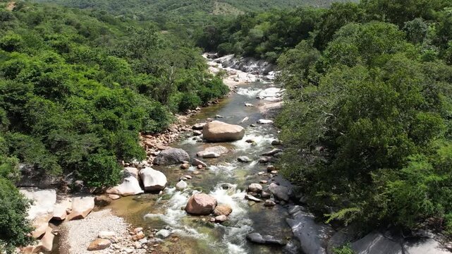 Mountain river flowing through a dense green forest