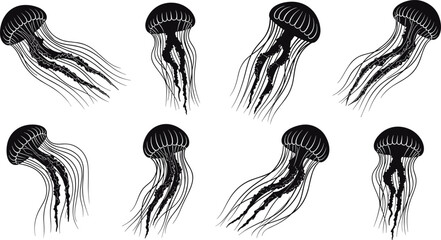 Silhouette jellyfish swimming with flowing tentacles, marine life ocean illustration, underwater sea creature design © MSTESMOTARA