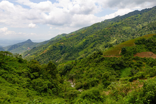 Majestic Mountain Valley with Rice Terraces and Lush Forest in Sapa Vietnam