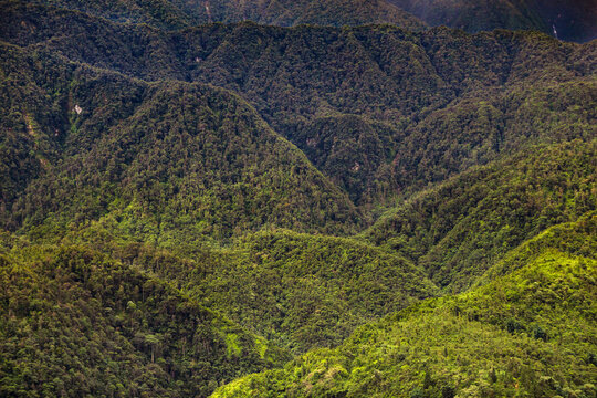 Dense Forested Mountain Slopes in Hoang Lien Son Range Sapa