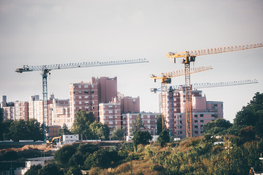 Telephoto cityscape of several tower cranes surrounding pink residential apartment blocks, showing urban expansion and property development beyond green vegetation