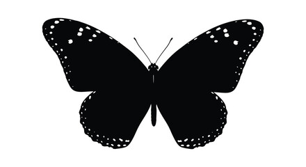 Black butterfly with dotted wings a flat silhouette against a white background © Rabbi