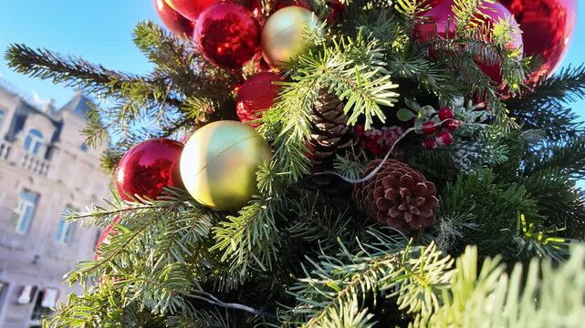 Close-up of red and gold christmas ornaments decorate a pine tree on a batumi street.