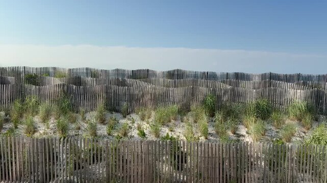 Right pan view of several sand fences with a wavy appearance on a sandy grassy sand dune by the beach
