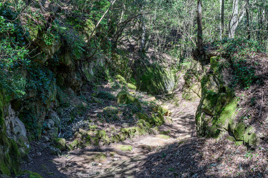 Etruscan sunken road Via Cava di San Rocco winding through mossy tufa rocks, Sorano, Italy
