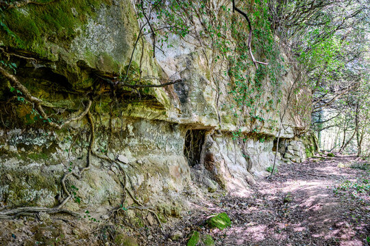 Moss covered carved walls along the Etruscan Via Cava di San Rocco, Sorano, Italy