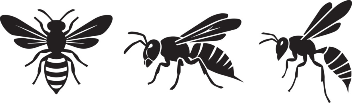 Three black wasps isolated on white background. Insect vector illustrations for pest control and nature design projects.