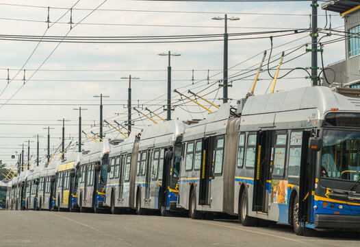 Canada, BC, Vancouver.  Long row of electric powered busses at transit depot.