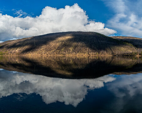 Canada, BC, Loon Lake.  Hill on the south side of the lake,  covered in burned trees from recent forest fire.