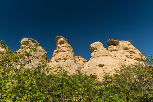 Canada, Alberta, Milk River.  Large sandstone hoodoos looming over the Visitor Centre Trail, in Writing on Stone Provincial Park.