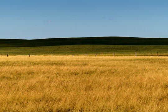 Canada, Alberta, Milk River. Natural grassland in Writing on Stone Provincial Park