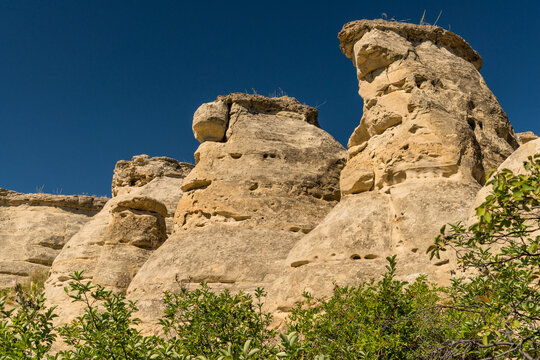 Canada, Alberta, Milk River.  Large sandstone hoodoos looming over the Visitor Centre Trail, in Writing on Stone Provincial Park.