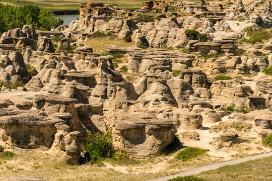 Canada, Alberta, Milk River.  A multitude of hoodoos close by the Visitor Centre in Writing on Stone Provincial Park.