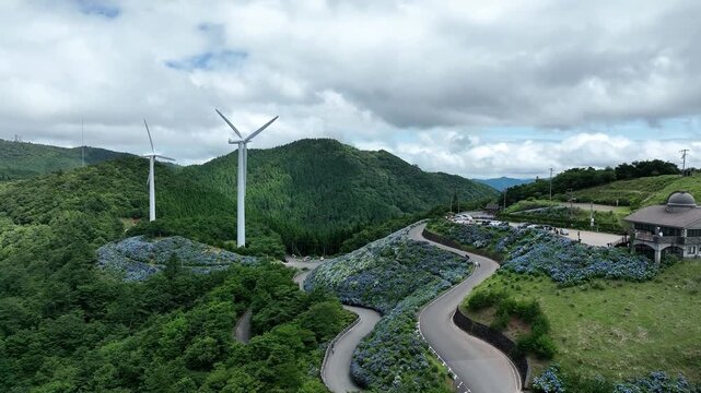 Hydrangeas and Wind Turbines at Okawara Highlands, Tokushima, Japan &ndash; Aerial Drone Footage
