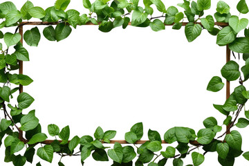 Fototapeta premium Green leaves creating natural border frame, fresh botanical element, organic plant texture on transparent background