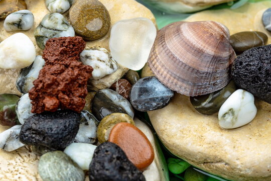 Pietre di mare con ciottoli e conchiglia