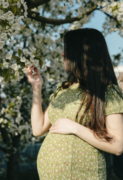Vertical hip-length portrait of pregnant girl in dress near tree in house garden.