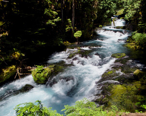 McKenzie River Cascades in the Oregon Cascade Mountains. Flowing waters rush through moss-covered rocks and evergreen forest of the McKenzie River. © Marc Bowen Photo