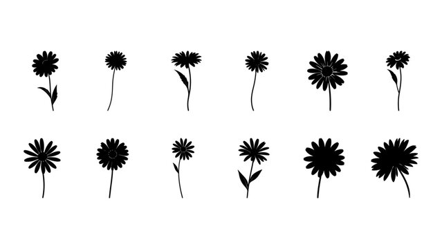 Collection of Various Black and White Flower Silhouettes.