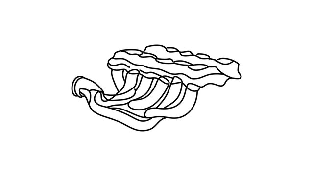 Cartoon shark head illustration white background.