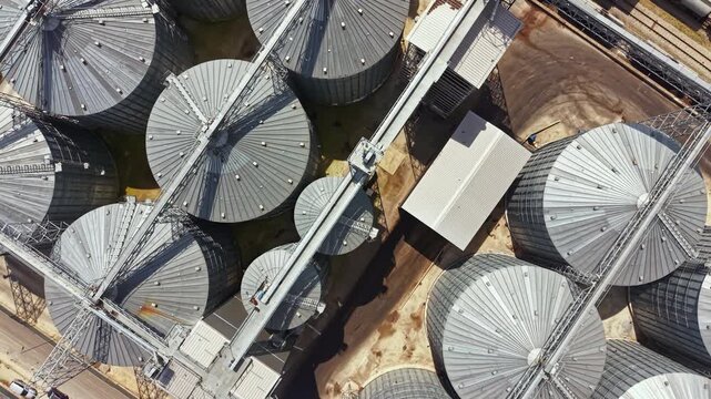 Silos stand in rows with metal roofs reflecting sunlight. The layout shows storage facilities for grains. The scene captures a farming location with machinery nearby.