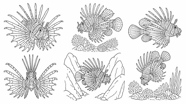 Lionfish ink illustration collection, detailed marine life drawings
