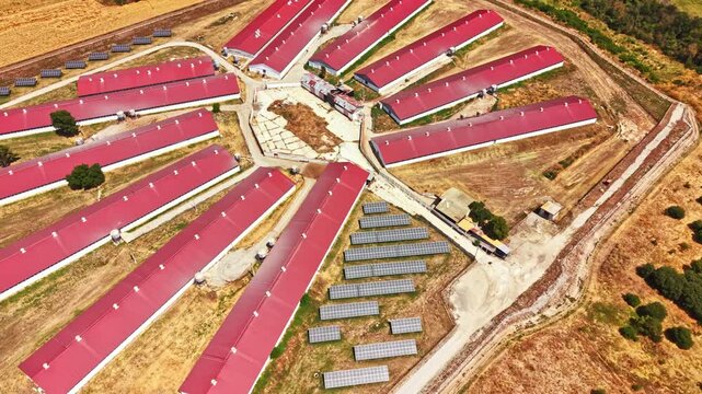 This pig farm shows multiple structures arranged in a circular pattern. The area has solar panels placed nearby. It is a bright day with clear skies and open fields around.