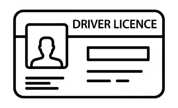 Driver licence id card with portrait silhouette and text lines on transparent background vector illustration