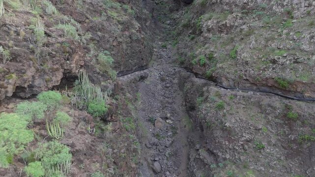 Aerial drone shot pulling back from a narrow path in a deep, rocky canyon on Tenerife, near Guama mountain. The lush plants contrast with the rugged terrain.