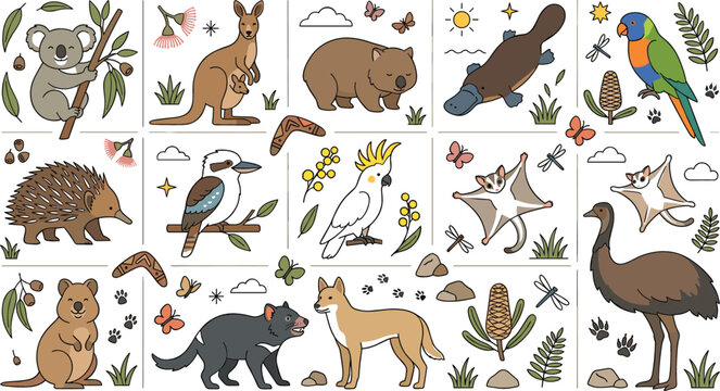 Australian wildlife cartoon vector illustration set featuring cute koala kangaroo wombat platypus and dingo animal characters for kids educational posters