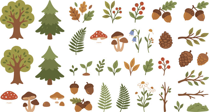 Autumn woodland nature vector illustration collection featuring forest trees acorns mushrooms ferns and botanical leaves for cozy seasonal graphic design templates