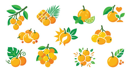 Collection of stylized orange fruits and leaves, representing freshness and nature. © tr