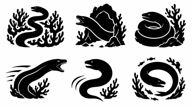 Moray Eel Silhouette Set, Aggressive Marine Predators in Coral Reef