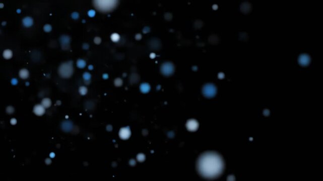 Bokeh circles dance on black, blue and white lights blur in the darkness