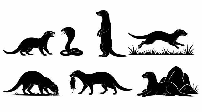 Mongoose Silhouette Set, Various Poses and Actions