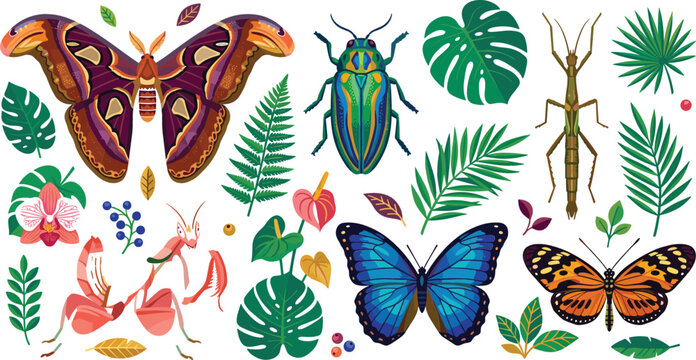 Exotic tropical insects and bugs vector illustration set featuring atlas moth morpho butterfly orchid mantis and stick insect for rainforest travel marketing