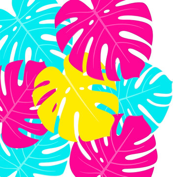 Vibrant Tropical Monstera Leaf Design in Pink Yellow and Cyan on White