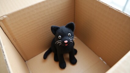 Fototapeta premium Adorable Black Felt Cat on Cardboard Box
